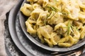 Meat Dumplings - russian boiled pelmeni Royalty Free Stock Photo