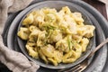 Meat Dumplings - russian boiled pelmeni Royalty Free Stock Photo