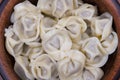 Meat Dumplings - russian boiled pelmeni in plate Royalty Free Stock Photo