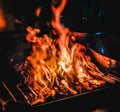Meat and fire