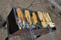 Fish meat cooked in natural conditions on the coals of a campfire Royalty Free Stock Photo