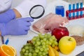 Meat and Food Quality Control Laboratory Testing with a Magnifying Glass Royalty Free Stock Photo