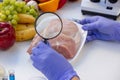 Meat and Food Quality Control Laboratory Testing with a Magnifying Glass Royalty Free Stock Photo