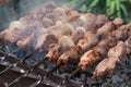 The meat is fried barbecue on a skewer in the garden with smoke