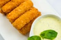 Meat fried in batter with dill in squared plate over white background Royalty Free Stock Photo