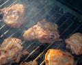 Meat is fried on coals in a brazier. Royalty Free Stock Photo