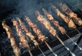 Meat is fried on coals in a brazier. Royalty Free Stock Photo