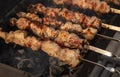 Meat is fried on coals in a brazier. Royalty Free Stock Photo
