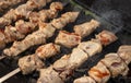 Meat is fried on coals in a brazier. Royalty Free Stock Photo