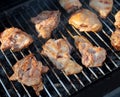Meat is fried on coals in a brazier. Royalty Free Stock Photo
