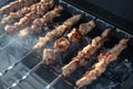 Meat is fried on coals in a brazier. Royalty Free Stock Photo