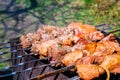 Meat is fried on coals. Camping, barbecue on the grill. Selective focus. Fried meat on charcoal BBQ