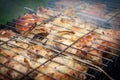 The meat is fried on coals in a metal grill. Preparation of barbecue in nature.