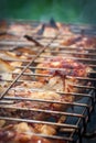 The meat is fried on coals in a metal grill. Preparation of barbecue in nature.