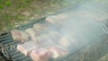 Meat is fried on coals in smoke. Juicy ribs are roasted on the barbecue grill in nature.