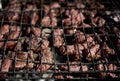 meat is fried on the grill over the coals Royalty Free Stock Photo