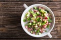 Meat, greens and vegetables cold summer soup Royalty Free Stock Photo