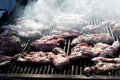 Meat on the grill. Chef cooking grilling mix of fresh grilled chicken meat Royalty Free Stock Photo