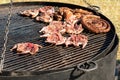 Meat on grill. Chicken and sausages on giant Royalty Free Stock Photo