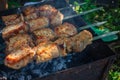 Meat on the grill. Shish kebab on fire. Preparation of meat called shashlik. Barbecue time. Picnic concept.