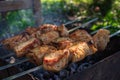 Meat on the grill. Shish kebab on fire. Preparation of meat called shashlik. Barbecue time. Picnic concept.