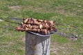 Meat grilled caucasus barbecue on plate