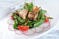 meat, grilled duck with tomatoes, radish, asparagus and spinach