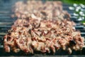 Meat is grilled / Schaschlik / Barbecue Royalty Free Stock Photo
