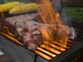 Meat grilling on the barbecue Royalty Free Stock Photo