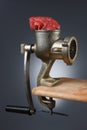 Meat grinder Royalty Free Stock Photo
