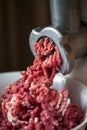 Meat grinder Royalty Free Stock Photo