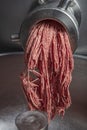 Unidentifiable butcher holding tray full of minced raw red meat leaving machine in food processing plant Royalty Free Stock Photo