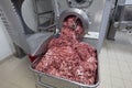 The meat in the Grinder. the meat industry. Minced meat being extruded from an industrial mincing machine Royalty Free Stock Photo