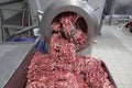 The meat in the Grinder. the meat industry. Minced meat being extruded from an industrial mincing machine Royalty Free Stock Photo