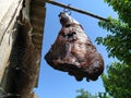 Meat. Homemade ham hanging on a hook. Dried smoked pork. Rustic food. Folk recipe. Turban, Fruska Mountain, Serbia. Home meat Royalty Free Stock Photo