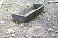 Wooden trough for feeding pigs on a farm