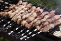 Meat kebab skewers on the grill fire outside Royalty Free Stock Photo