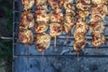 Meat-kebab on skewers and grill grate. Top view, close-up Royalty Free Stock Photo