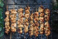 Meat-kebab on skewers and grill grate. Top view, close-up Royalty Free Stock Photo