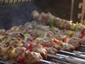 Meat kebabs shashlyk summer bb