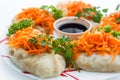 Meat Korean dish of carrots with sauce Royalty Free Stock Photo