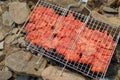 The meat is laid on a grill and set on hot charcoal. Royalty Free Stock Photo