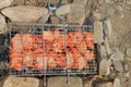 The meat is laid on a grill and set on hot charcoal. Royalty Free Stock Photo