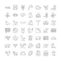 Meat linear icons, signs, symbols vector line illustration set Royalty Free Stock Photo