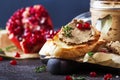 Meat liver pate on toasted bread with fruit seeds and spice herb, brown kitchen table, copy space, selective focus Royalty Free Stock Photo