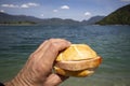 Meat loaf bun at Walchensee