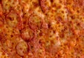 Meat mania pizza Royalty Free Stock Photo