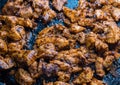 meat in marinade fried in a frying pan, many chicken pieces close-up Royalty Free Stock Photo