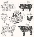 Meat menu pork chicken beef cuts hand drawn vector Royalty Free Stock Photo