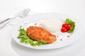 Meat with mixed leaf salad an rice on white Royalty Free Stock Photo